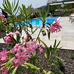 Sthedonist Luxury Pool Sea And Rock *